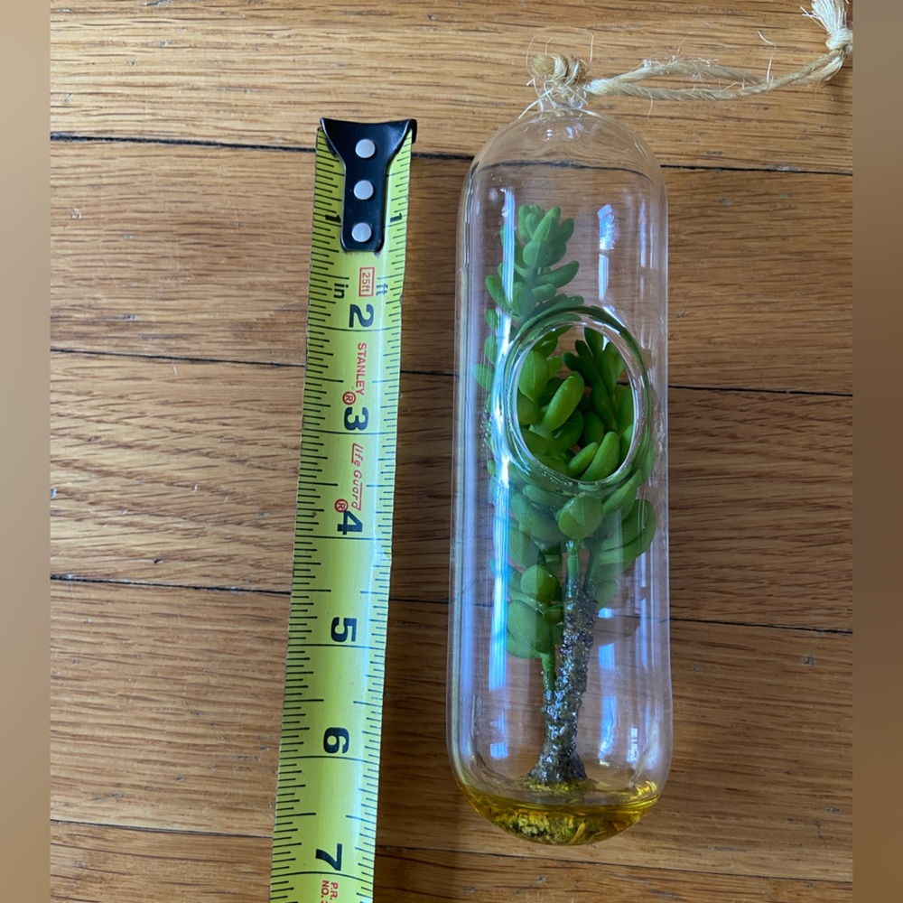 Fake Plant Hanging Glass Terrarium